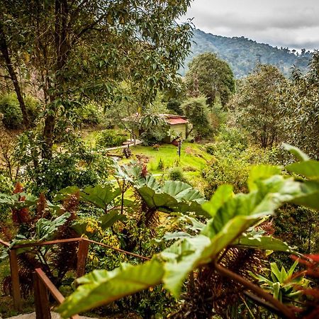 Paraiso Quetzal Lodge Tres de Junio Exteriér fotografie