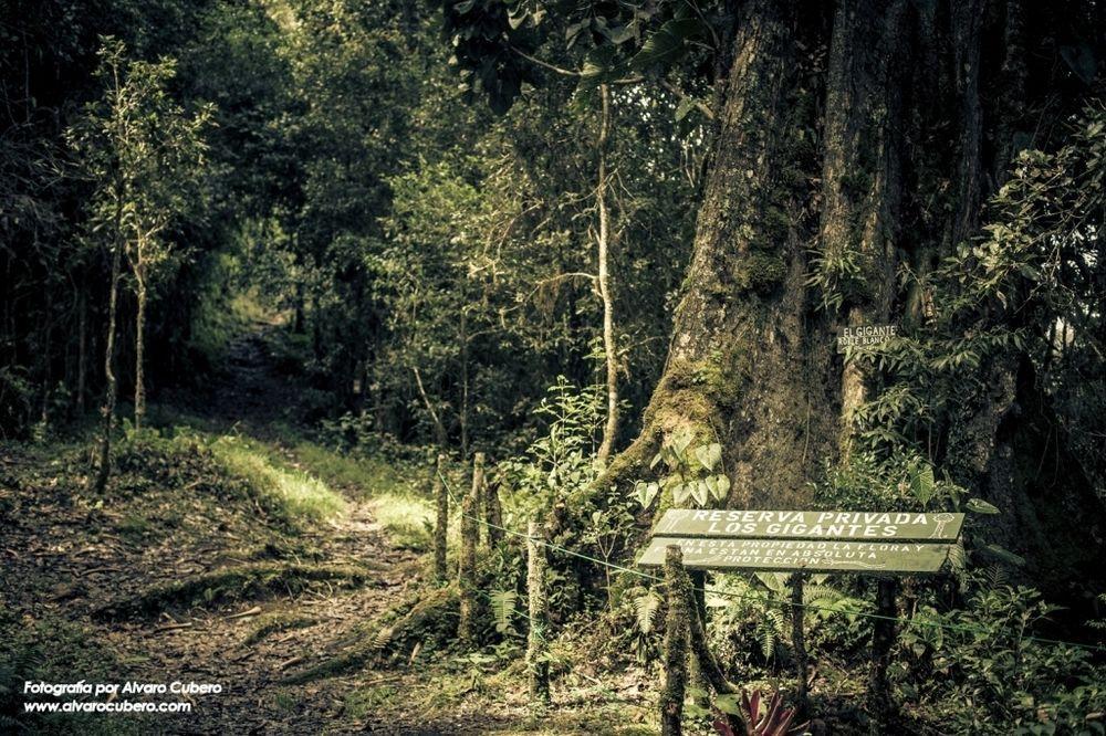Paraiso Quetzal Lodge Tres de Junio Exteriér fotografie