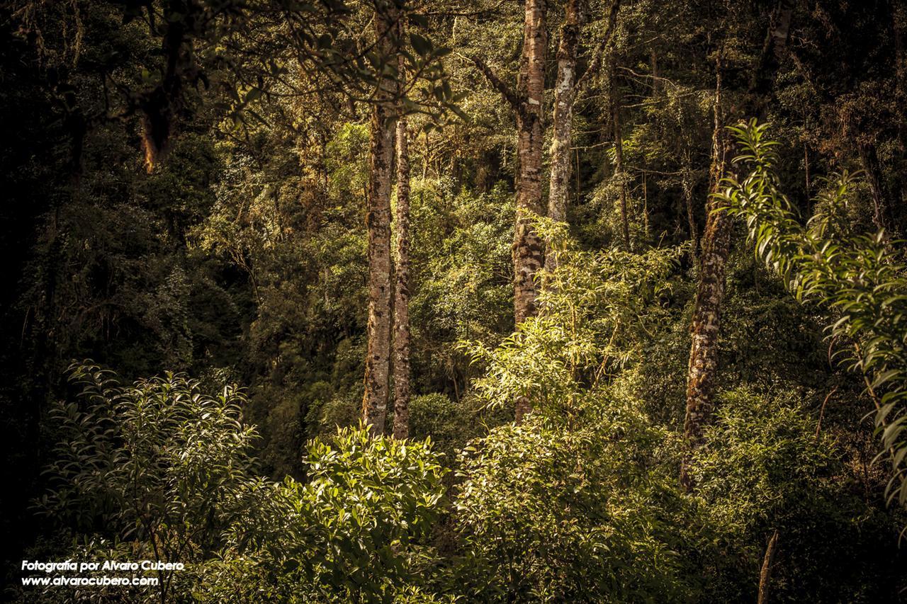 Paraiso Quetzal Lodge Tres de Junio Exteriér fotografie